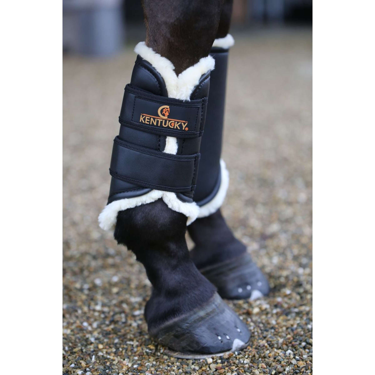 Kentucky Horsewear Turnout Boots Front Legs Black