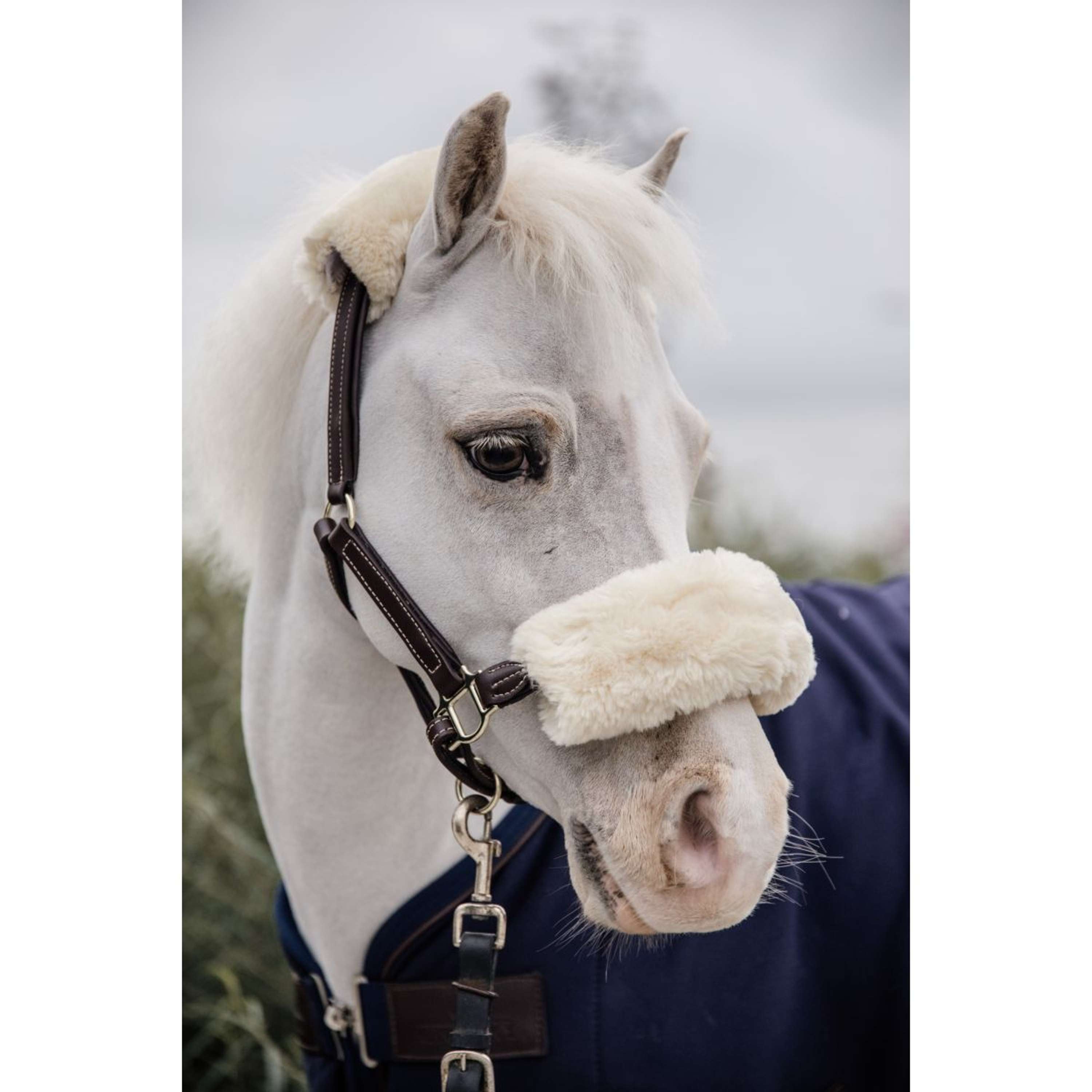 Kentucky Leather Halter Leather with Sheepskin