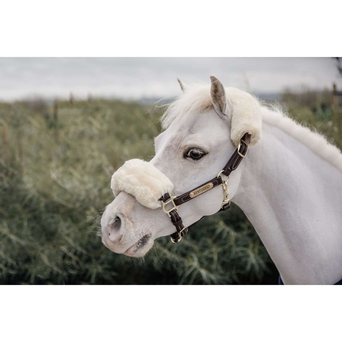 Kentucky Leather Halter Leather Sheepskin