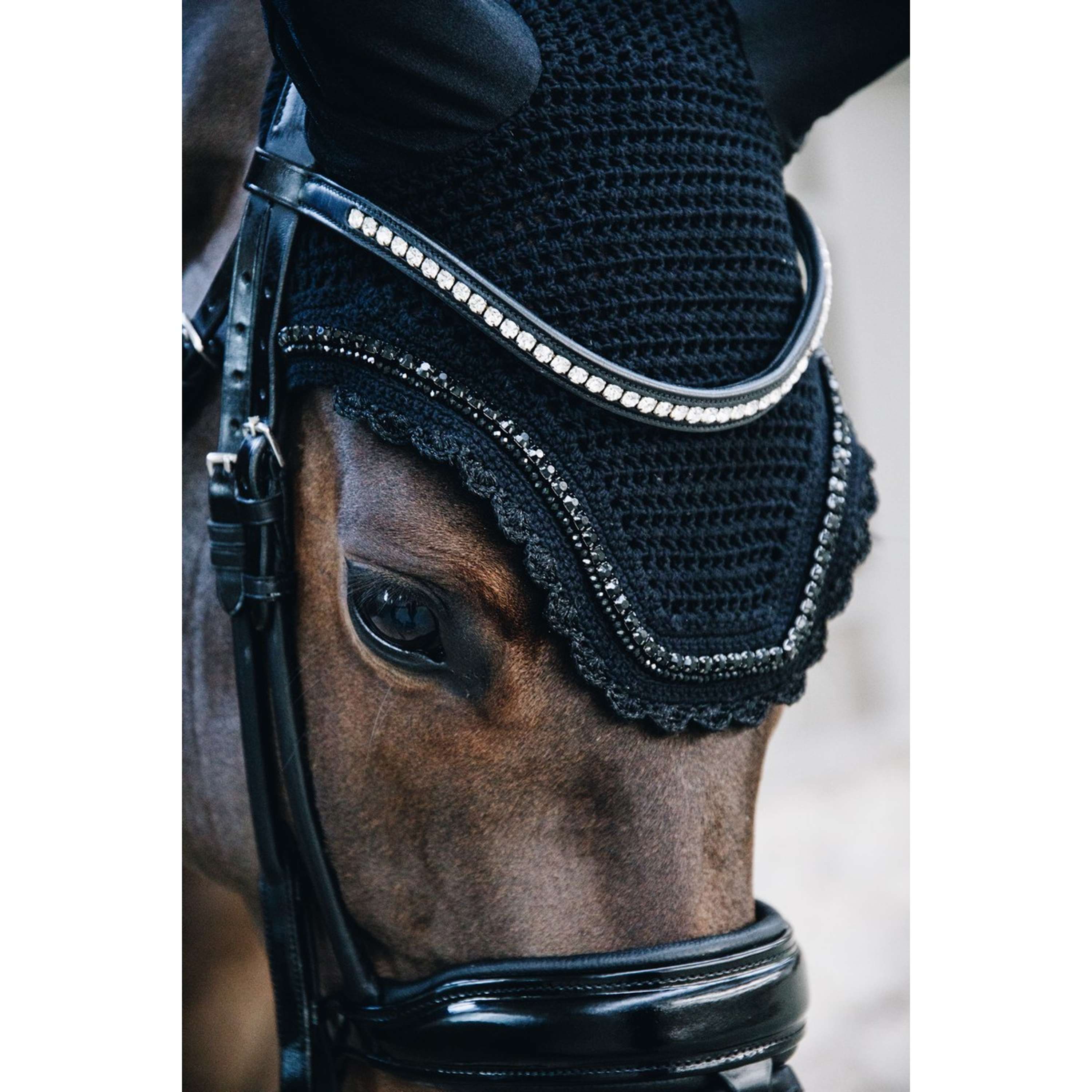 Kentucky Ear Cover Wellington Stone & Pearl Soundless Black