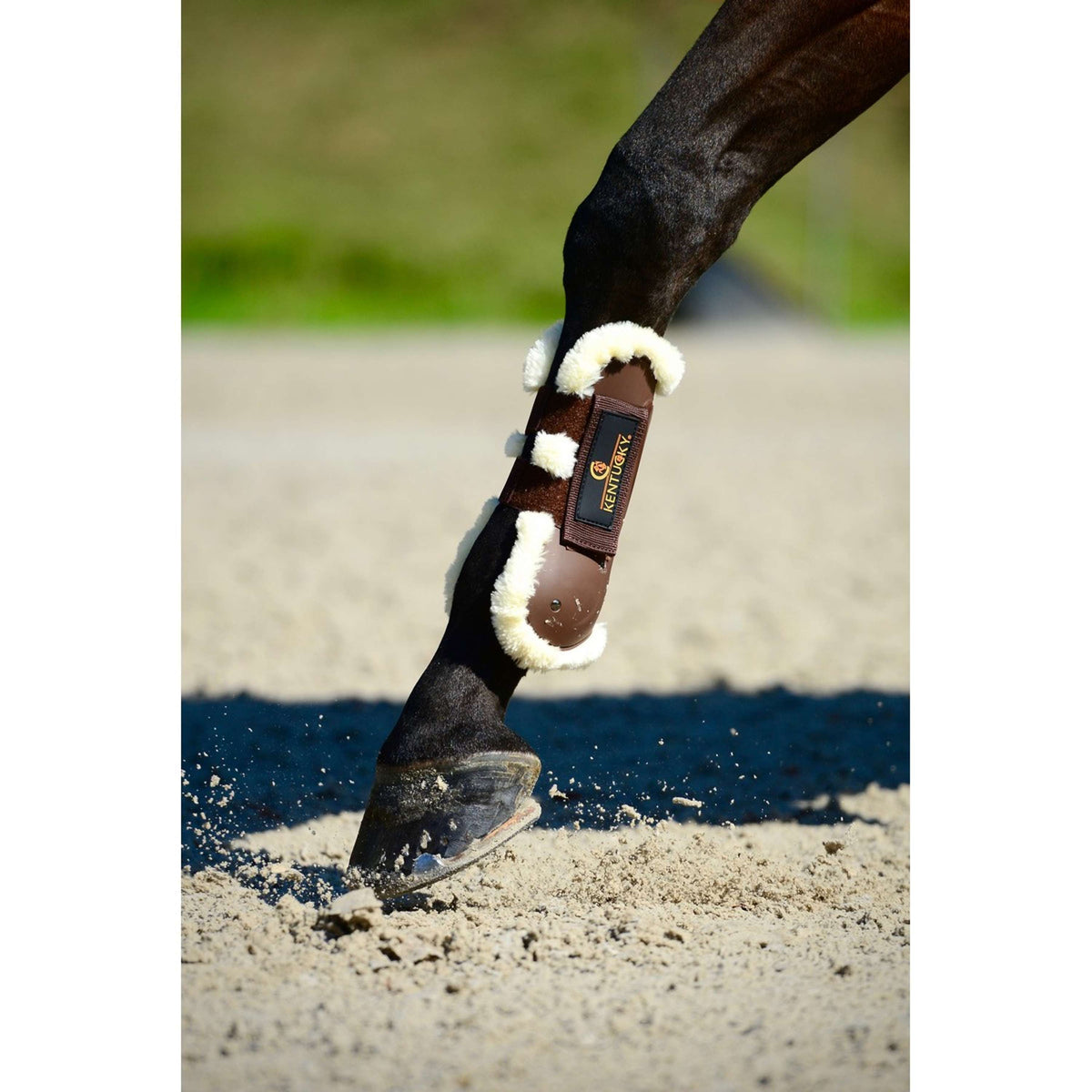 Kentucky Horsewear Tendon Boots Air Sheepskin Brown