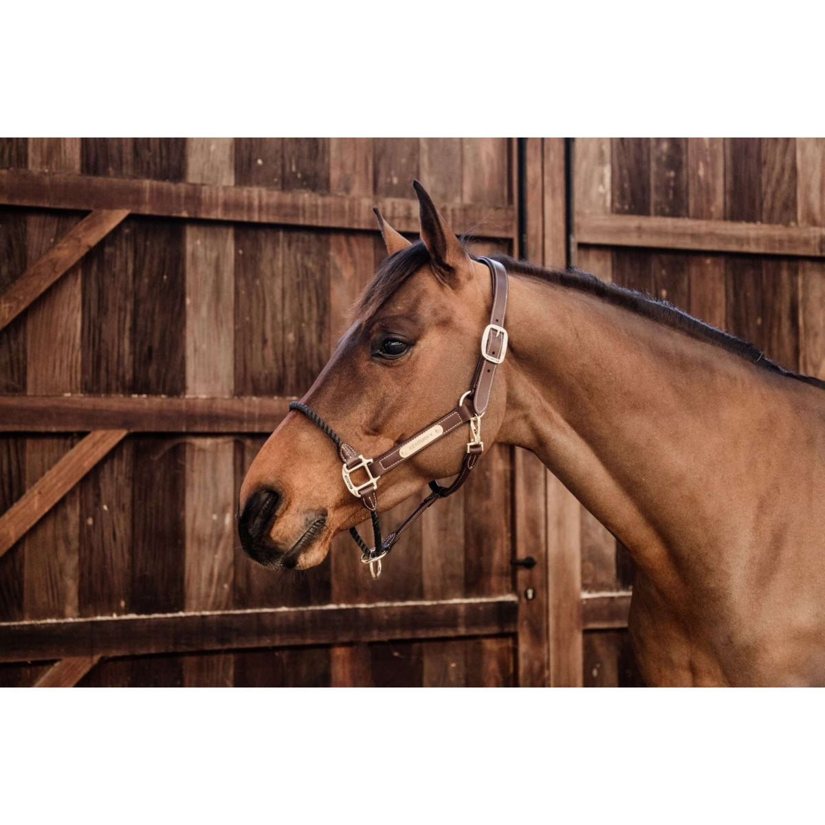 Kentucky Rope Halter Leather