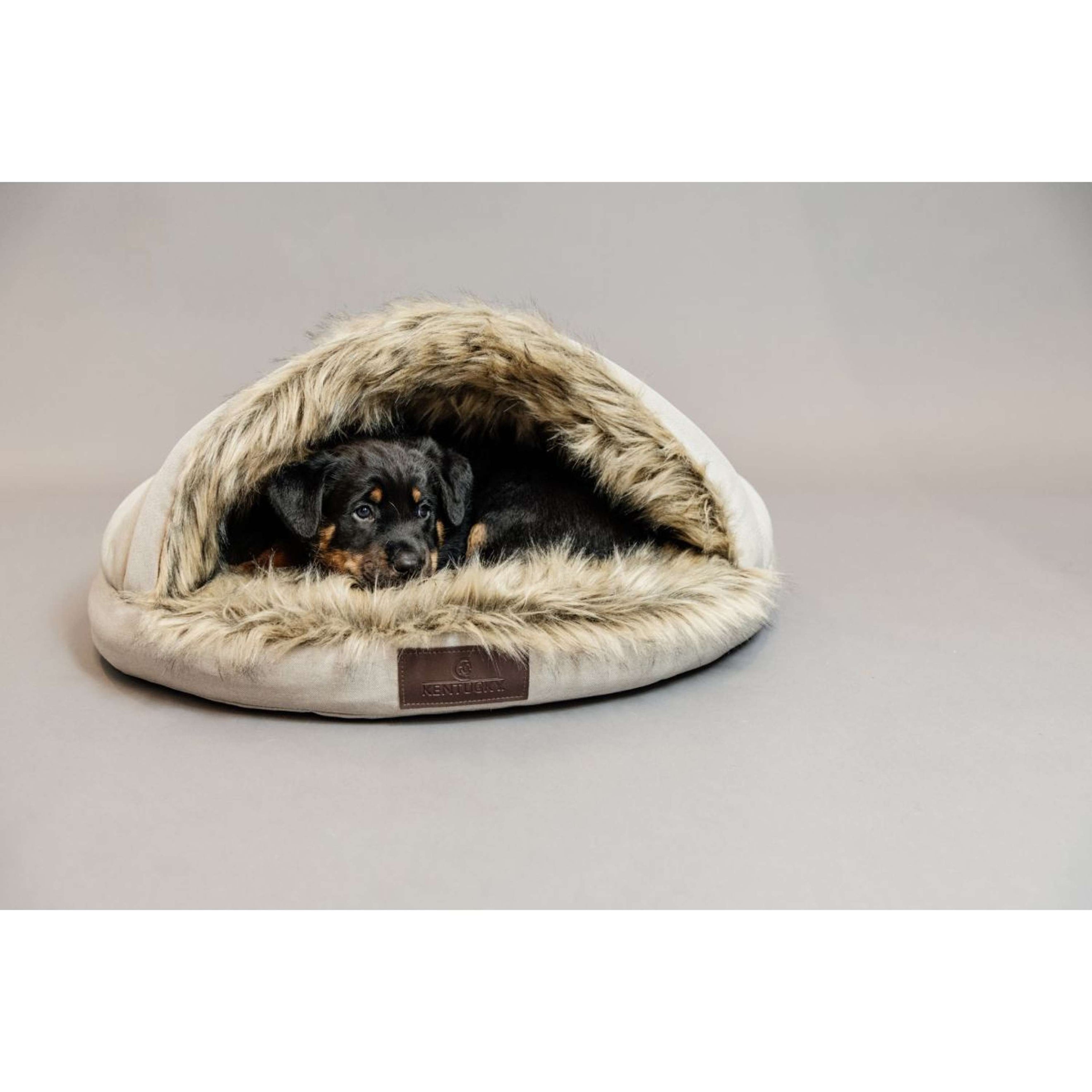 Kentucky Dog Bed Igloo