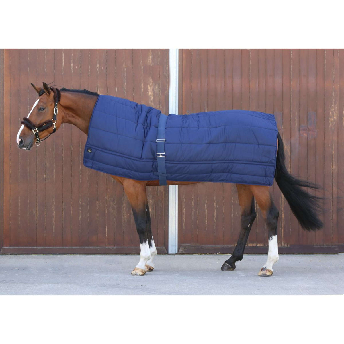 Kentucky Rug Horse Duvet 300g Navy