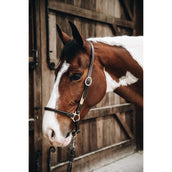 Kentucky Head Collar Leather Grooming