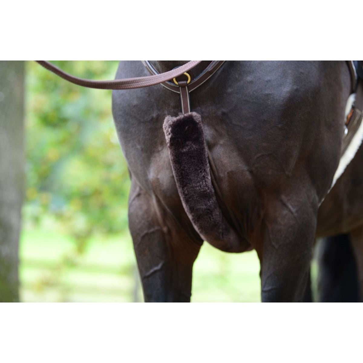 Kentucky Chest Bucke Coat Sheepskin Brown