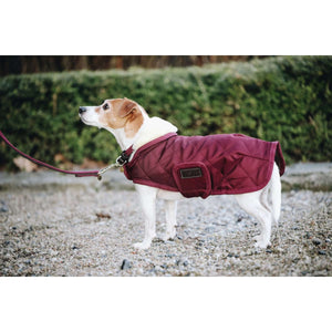 Kentucky Dog Coat Original Royal Bordeaux