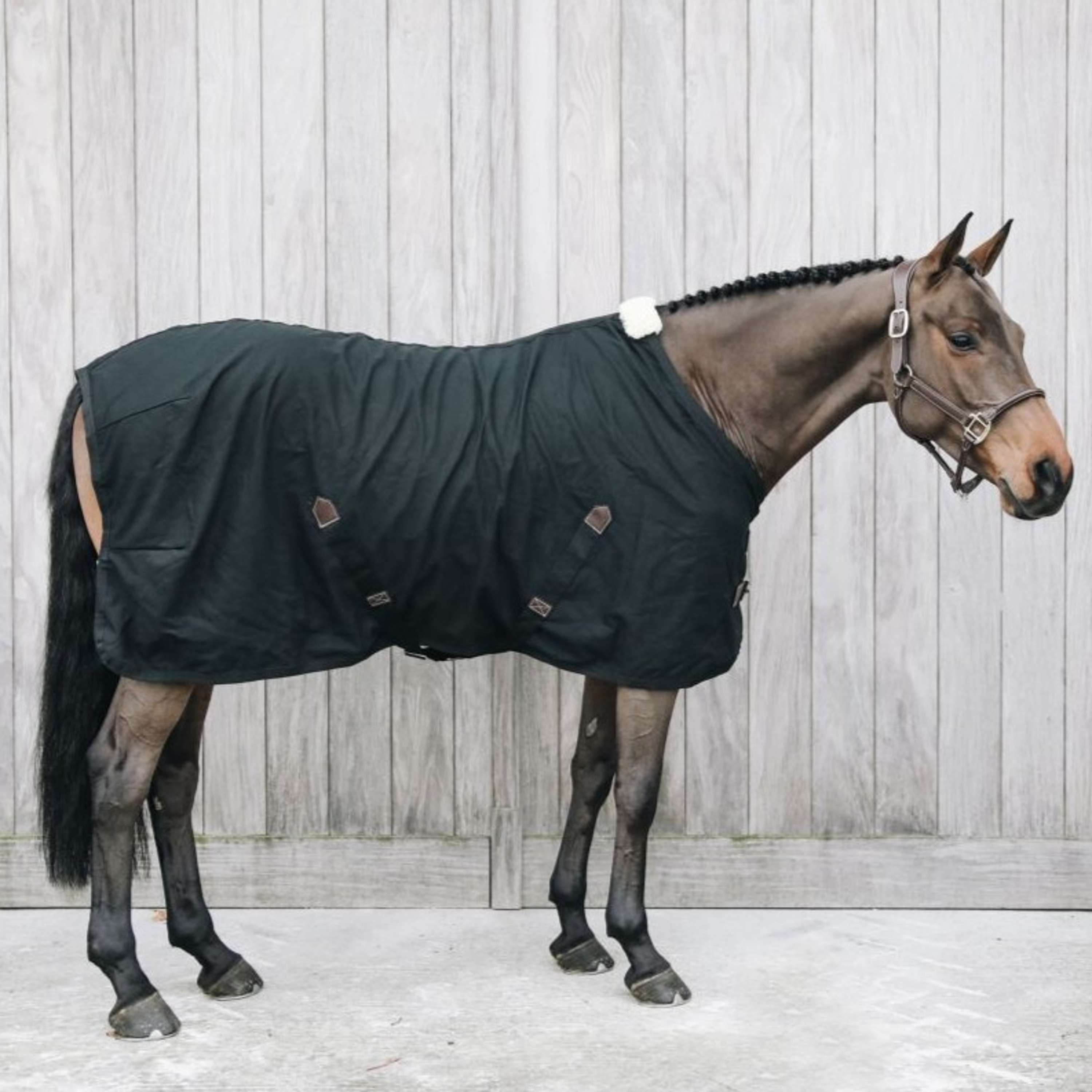 Kentucky Cotton Rug Black
