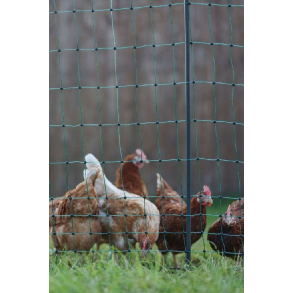 Ako Poultry Net Premium Electified Double Pen Green