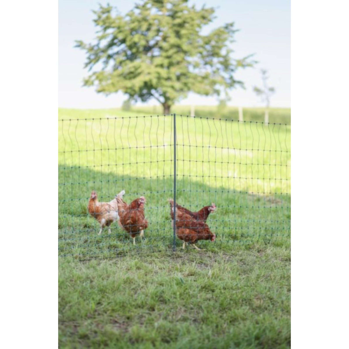 Ako Poultry Net Premium not Electrifiable Double Pen Green