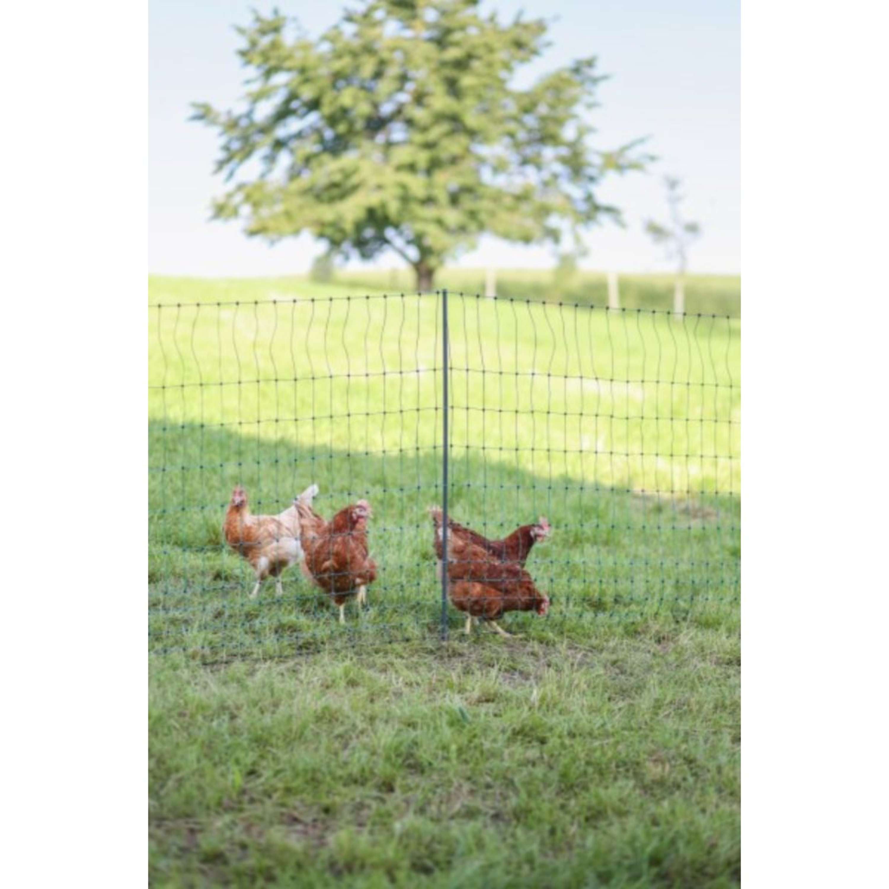 Ako Poultry Net Premium Electified Single Pen Green