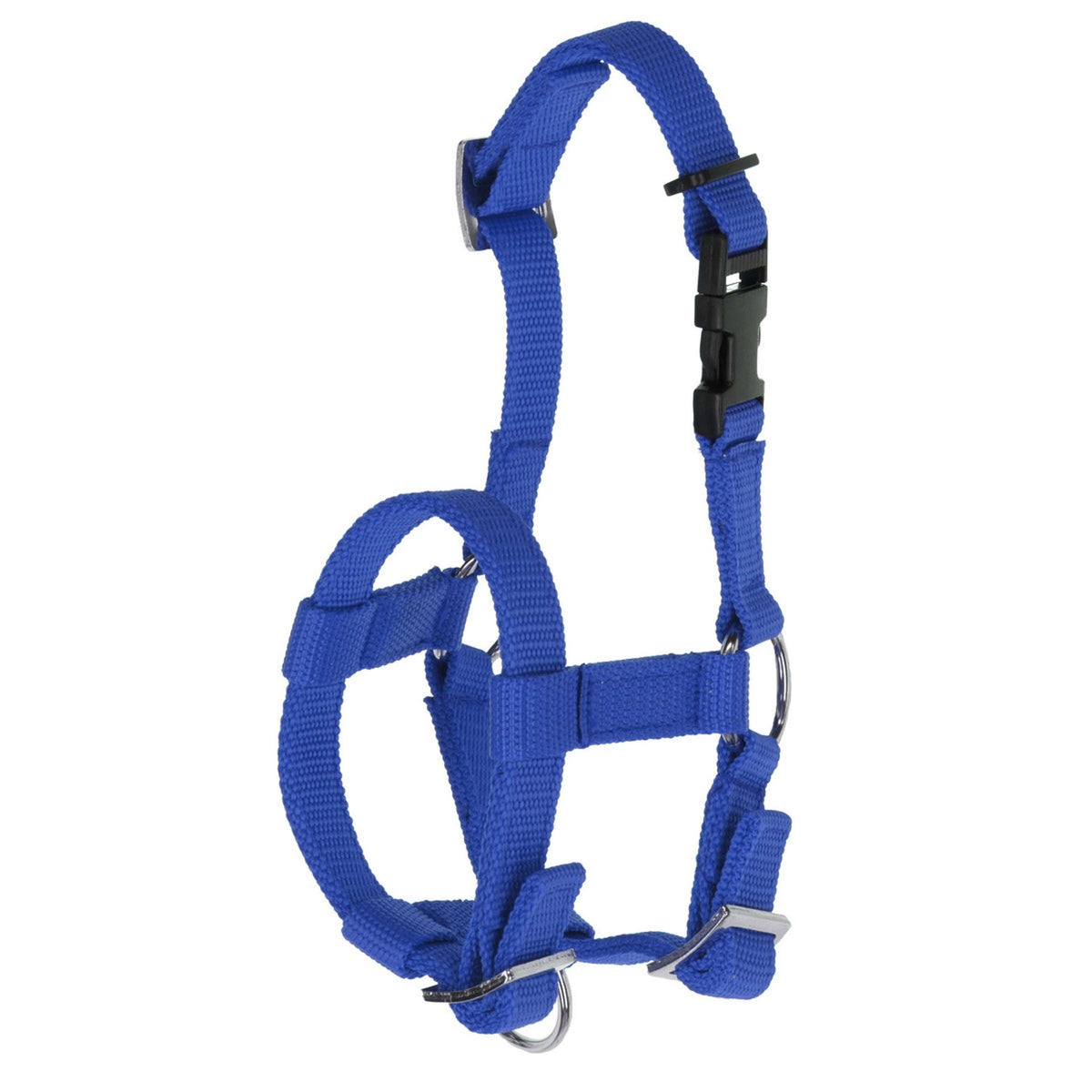 Kerbl Alpaca Halter Blue