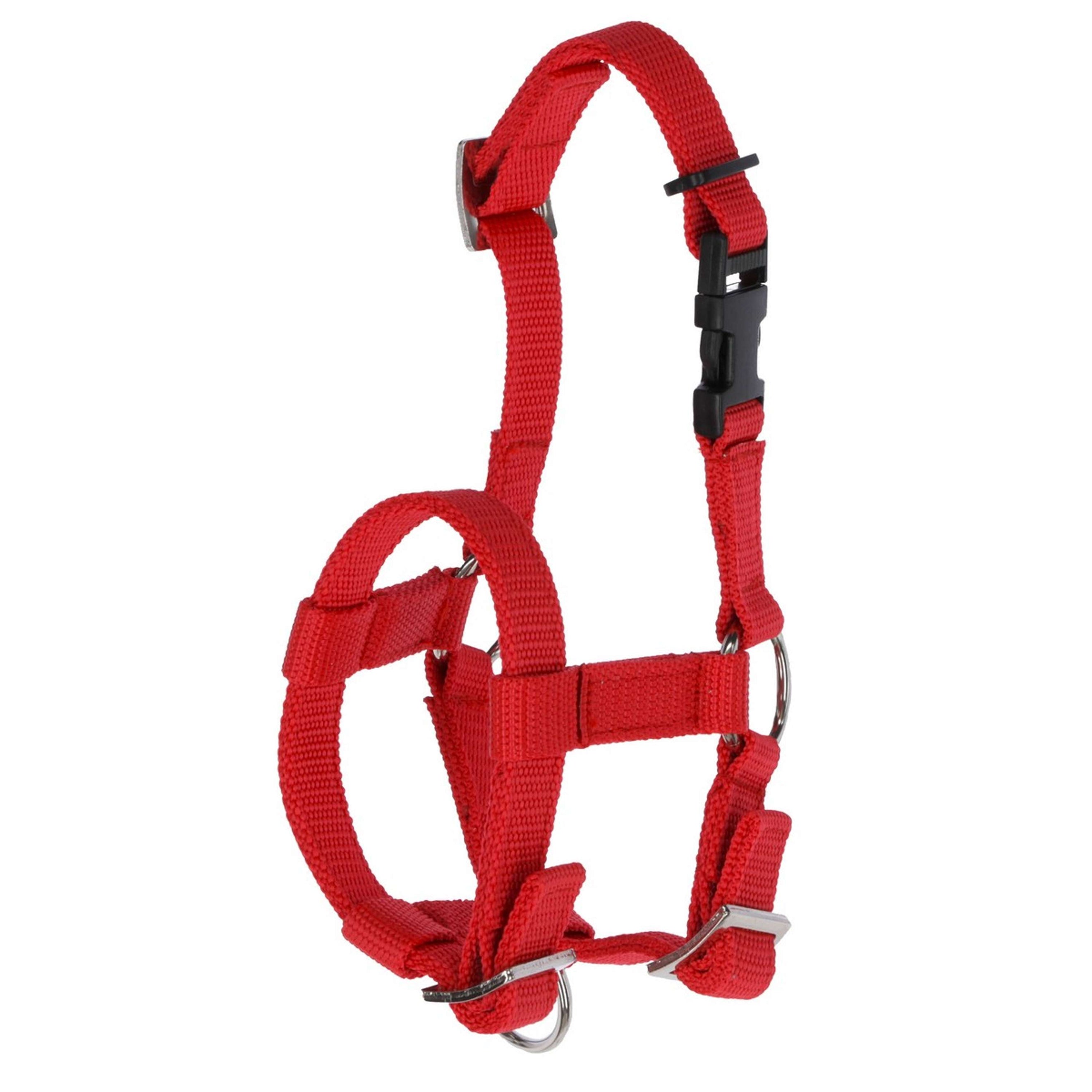 Kerbl Alpaca Halter Red