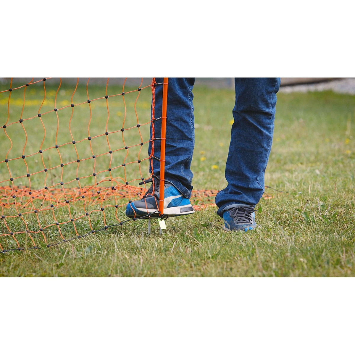 Ako Poultry Net Double Pen Electric Orange