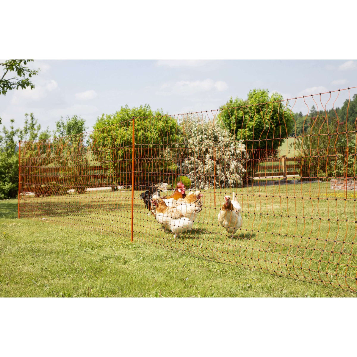 Ako Poultry Net Double Pen Electric Orange