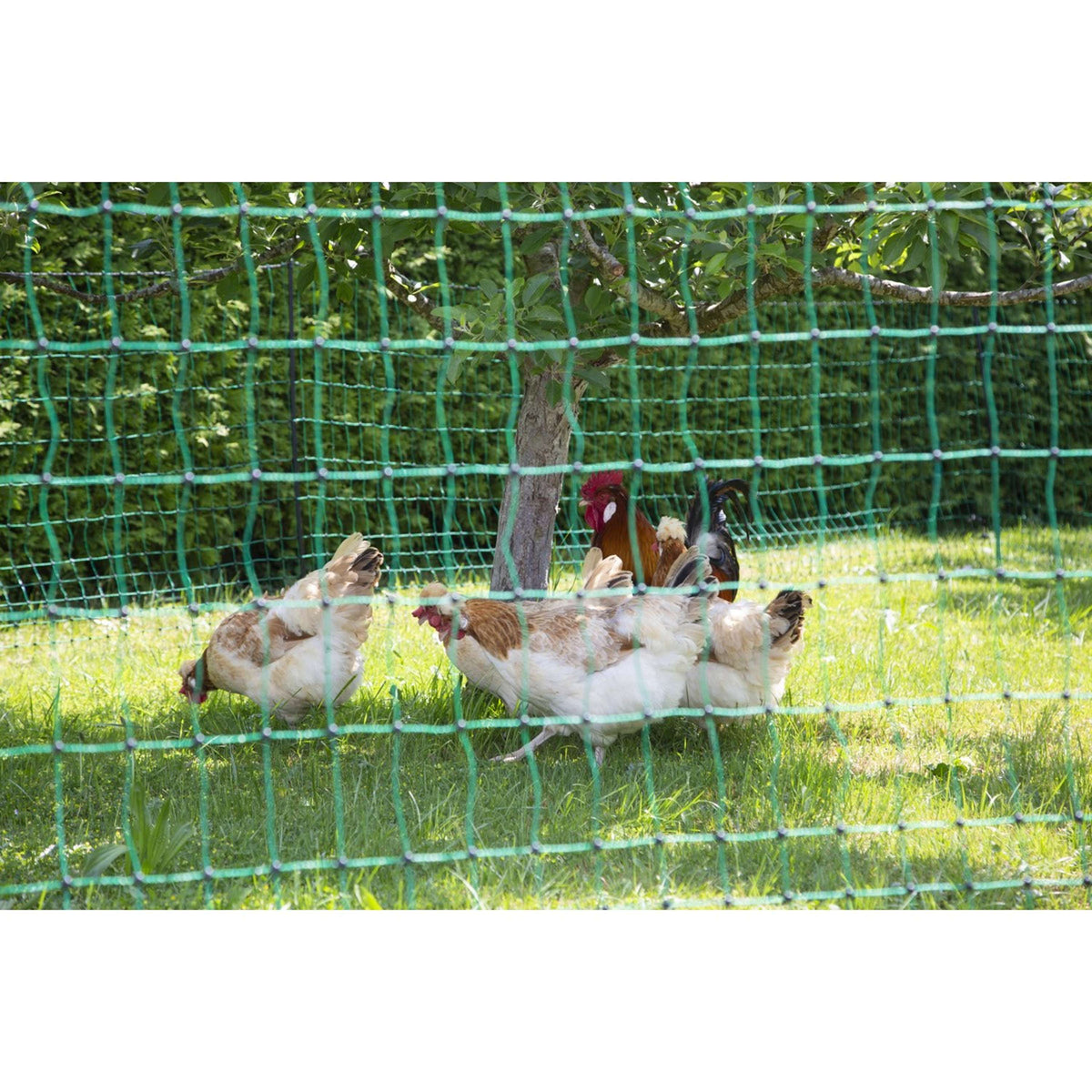 Ako Poultry Net Double Pen Conductive Green