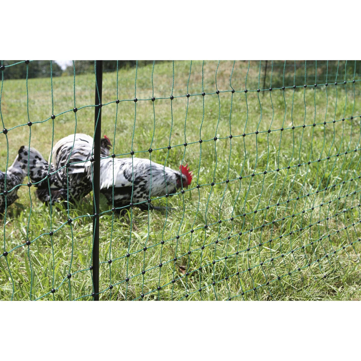 Ako Poultry Net Double Pen Conductive Green