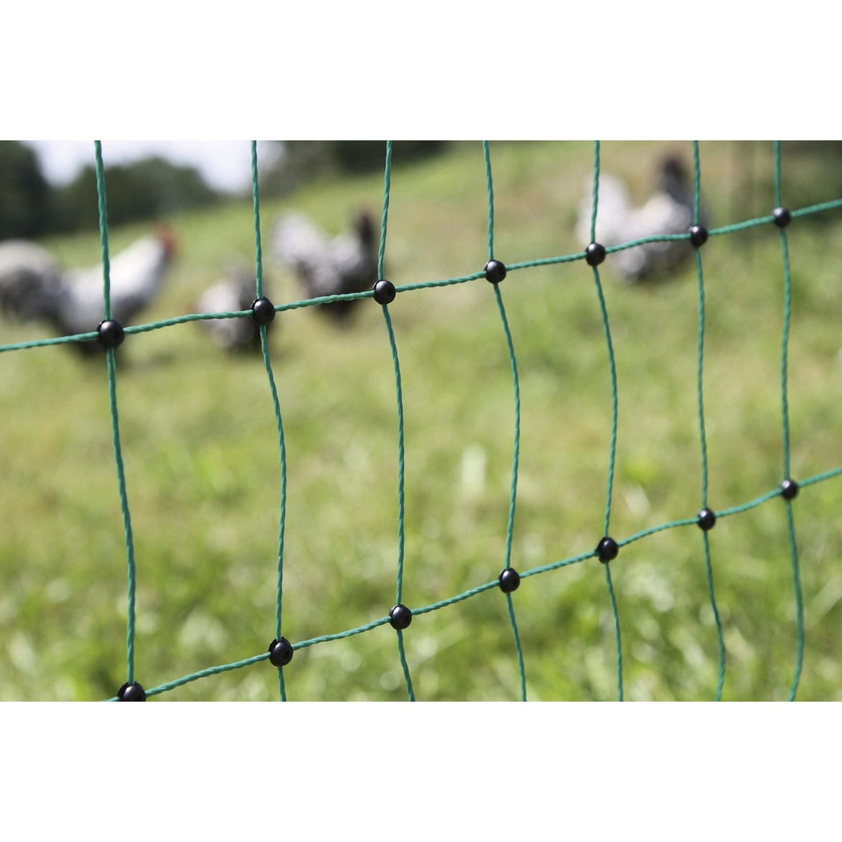 Ako Poultry Net Double Pen Conductive Green