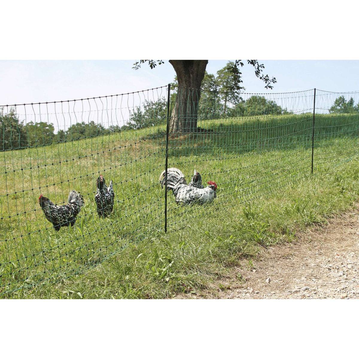 Ako Poultry Net Double Pen Conductive Green