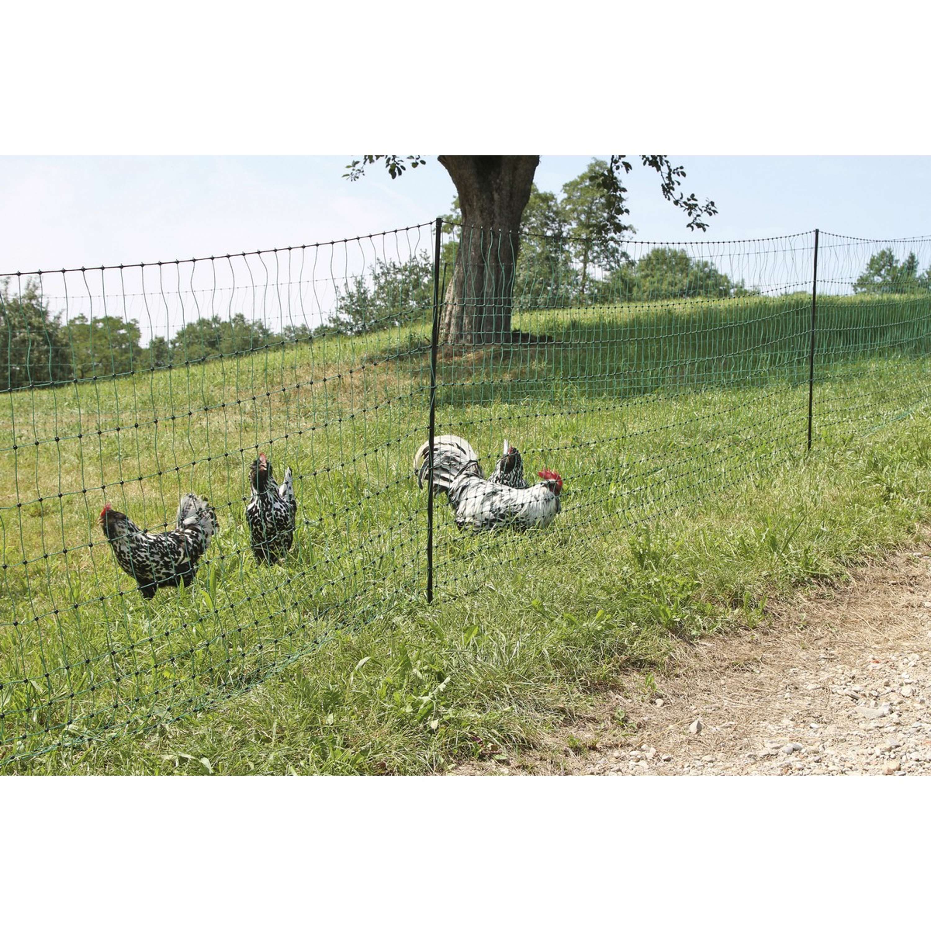 Ako Poultry Net Double Pen Conductive Green