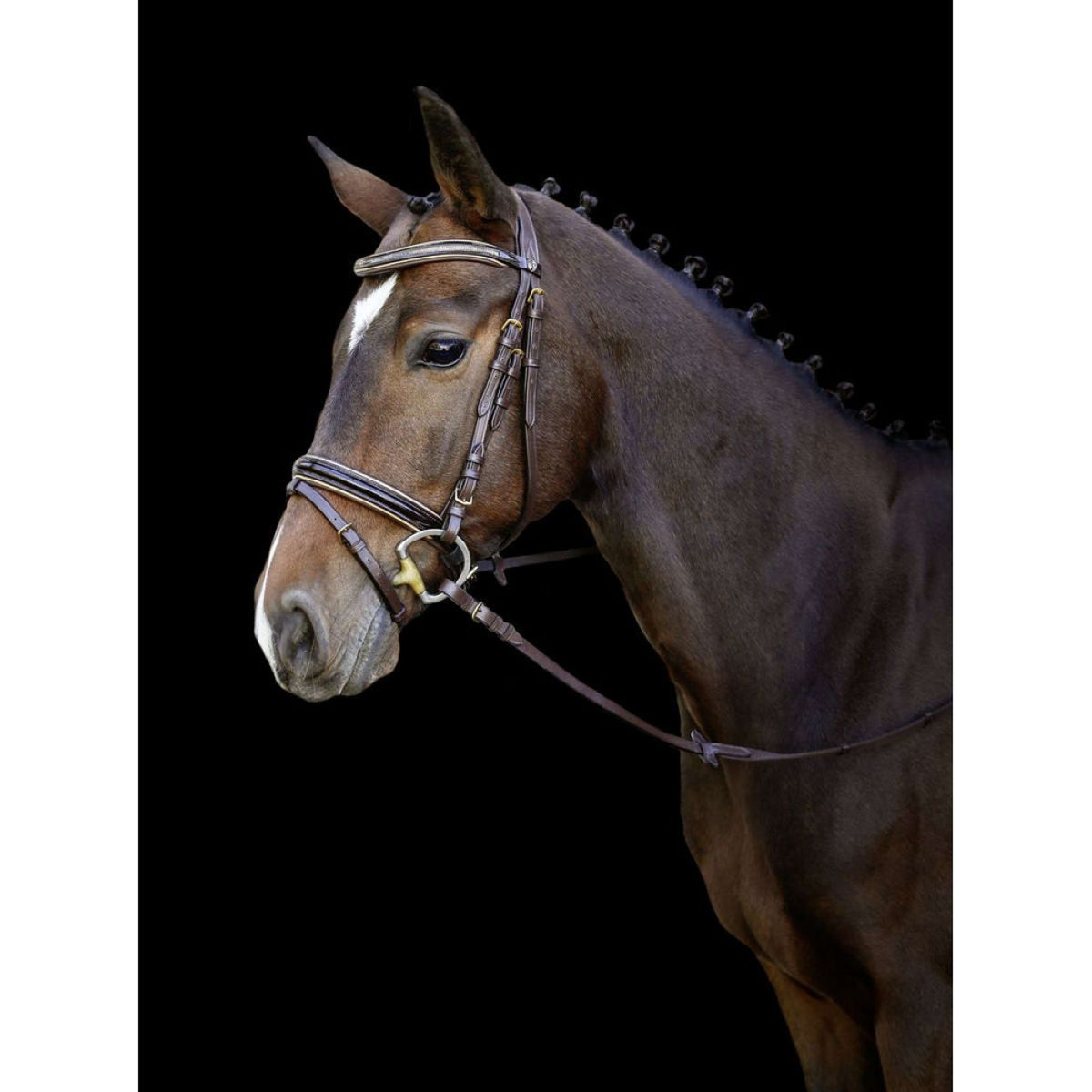 Kerbl Bridle Kingston English Combined Brown