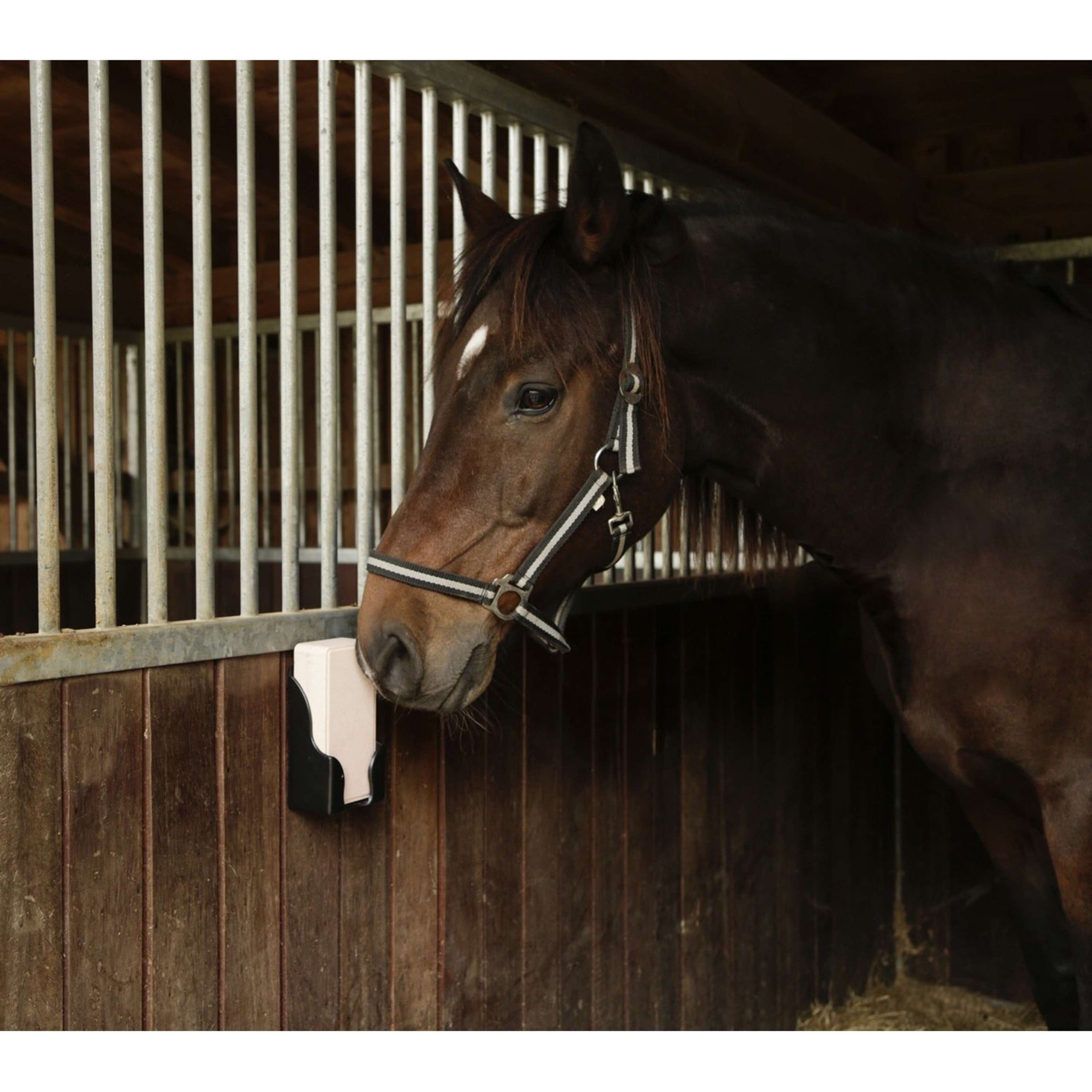 Kerbl Lick Stone Holder Narrow Black Kerbl Lick Stone Holder Narrow Black