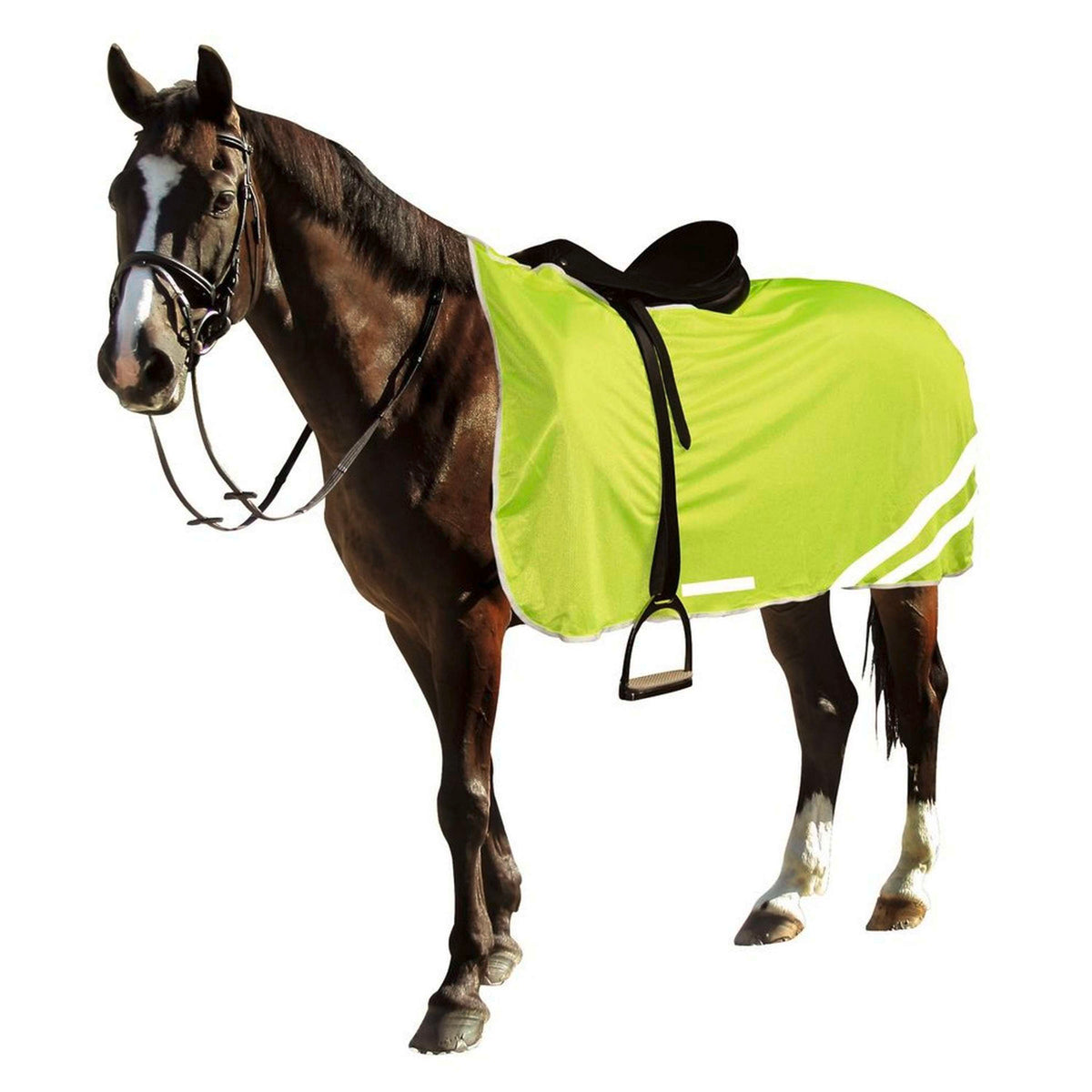 RugBe by Covalliero Reflective Safety Blanket