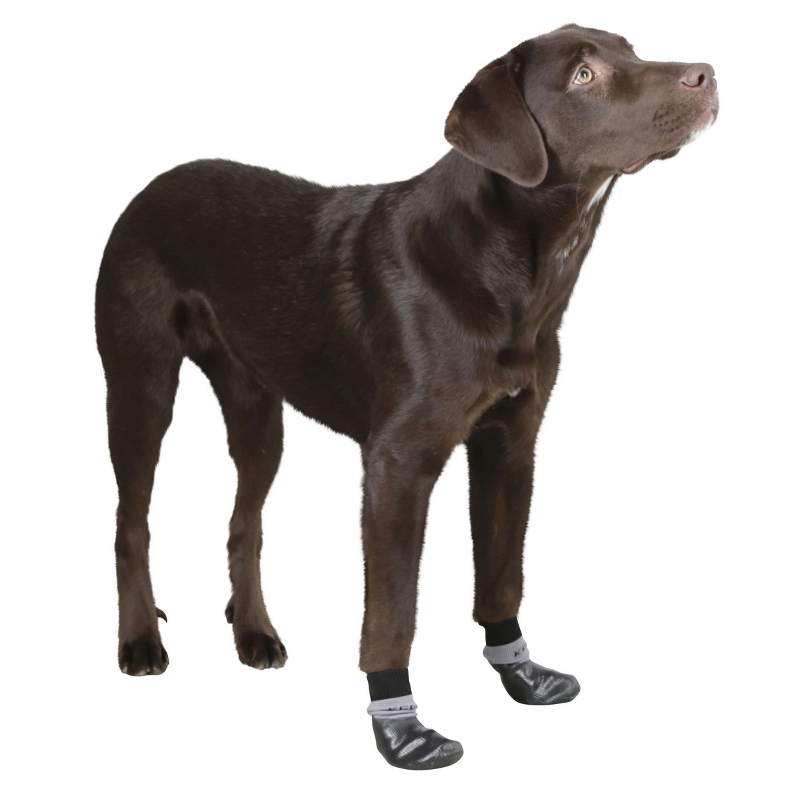 Kerbl Dog Socks Susi Black/Grey