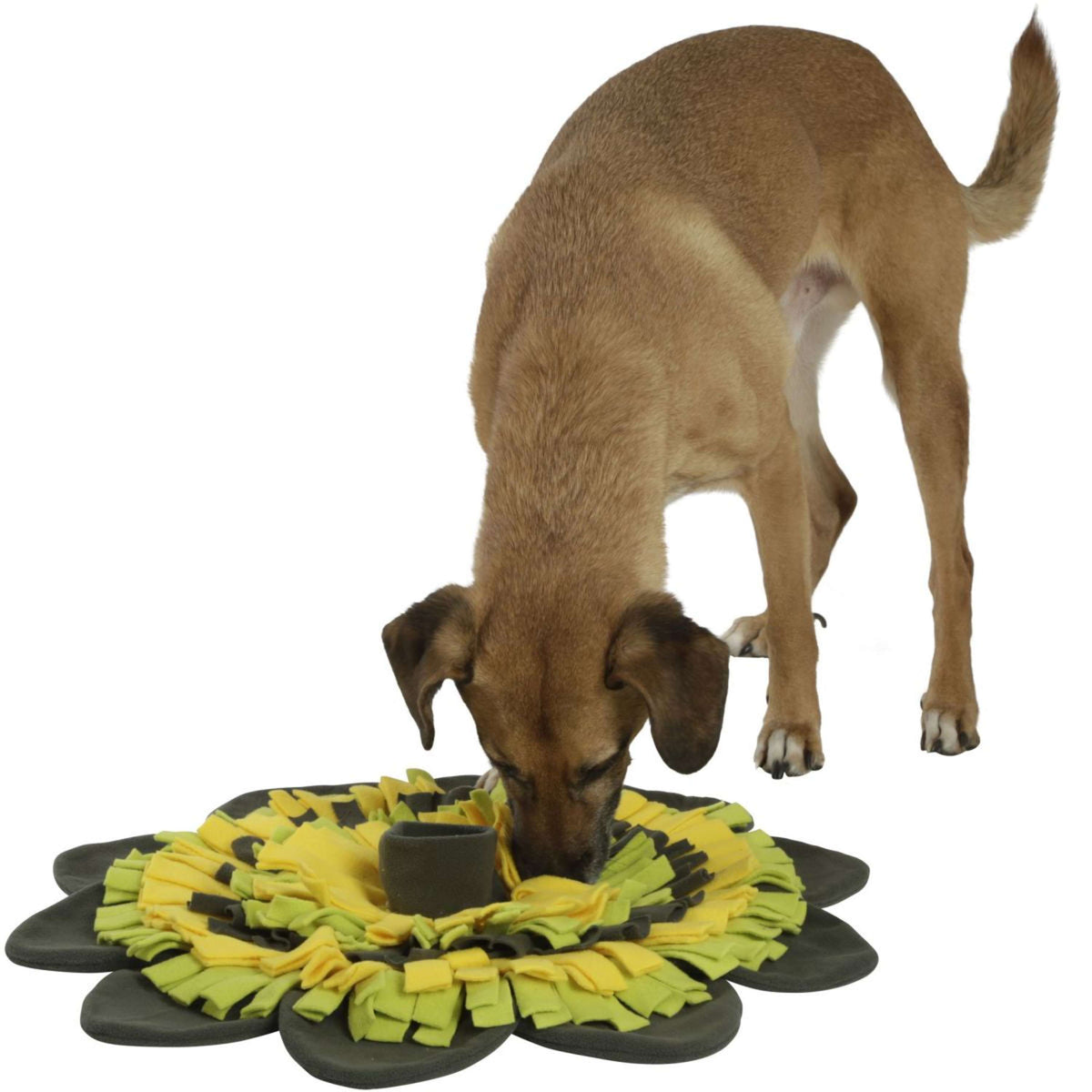 Kerbl Sniffing Mat Sunflower Yellow/Green