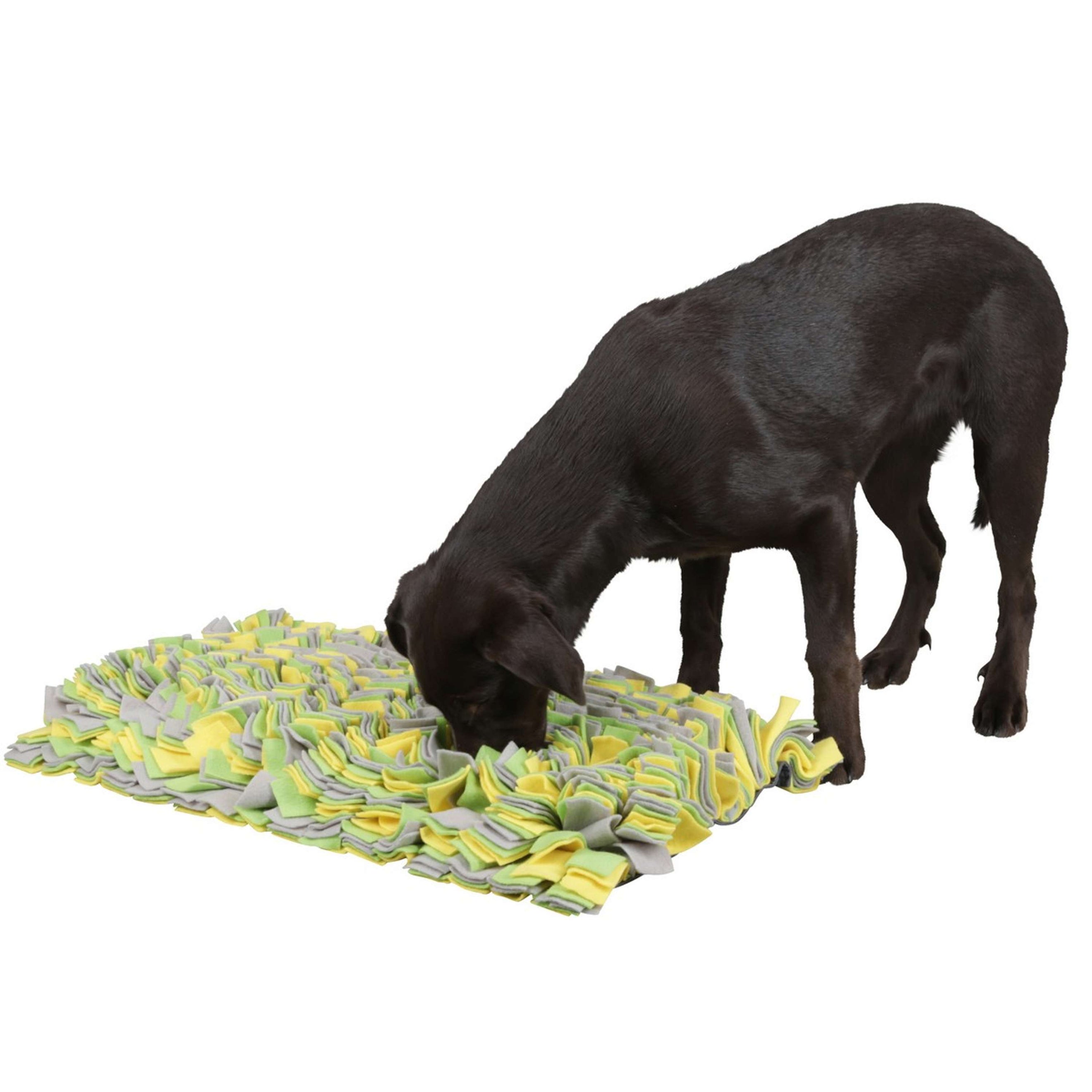Kerbl Sniffing Rug Yellow/Green/Grey Yellow/Green/Grey Kerbl Sniffing Rug Yellow/Green/Grey Yellow/Green/Grey