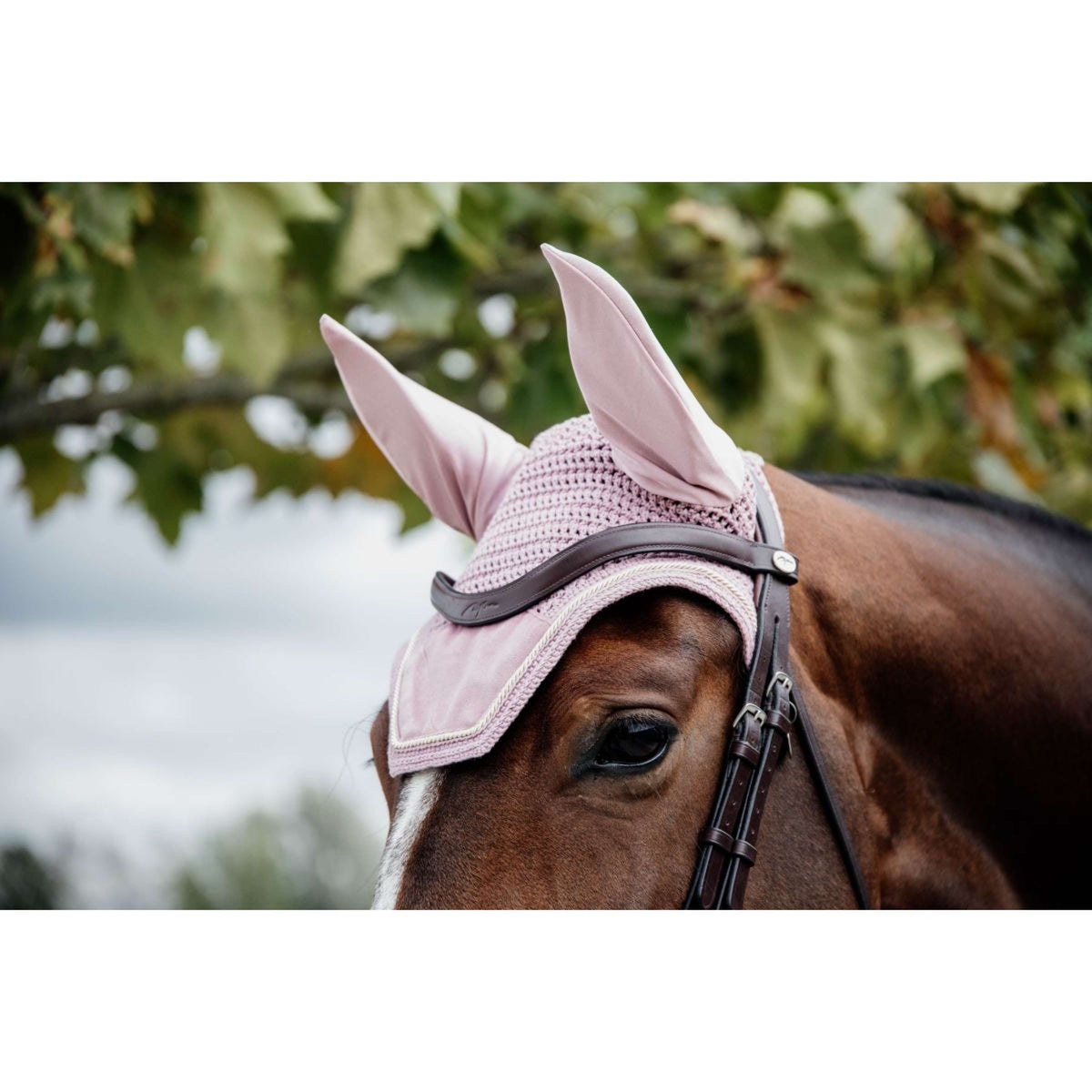 Kentucky Ear Cover Wellington Velvet Old Rose