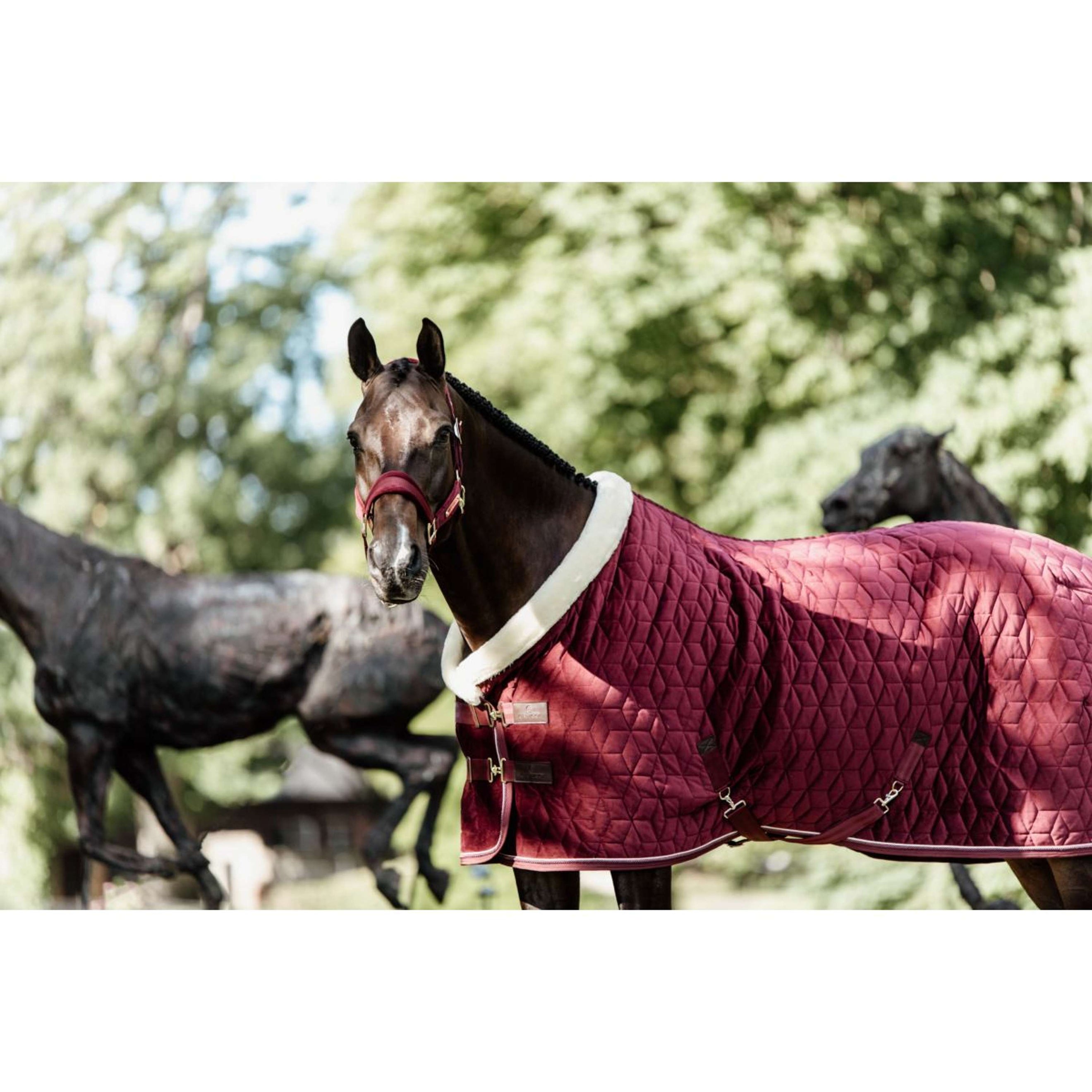Kentucky Show Rug Velvet 160g Bordeaux Kentucky Show Rug Velvet 160g Bordeaux