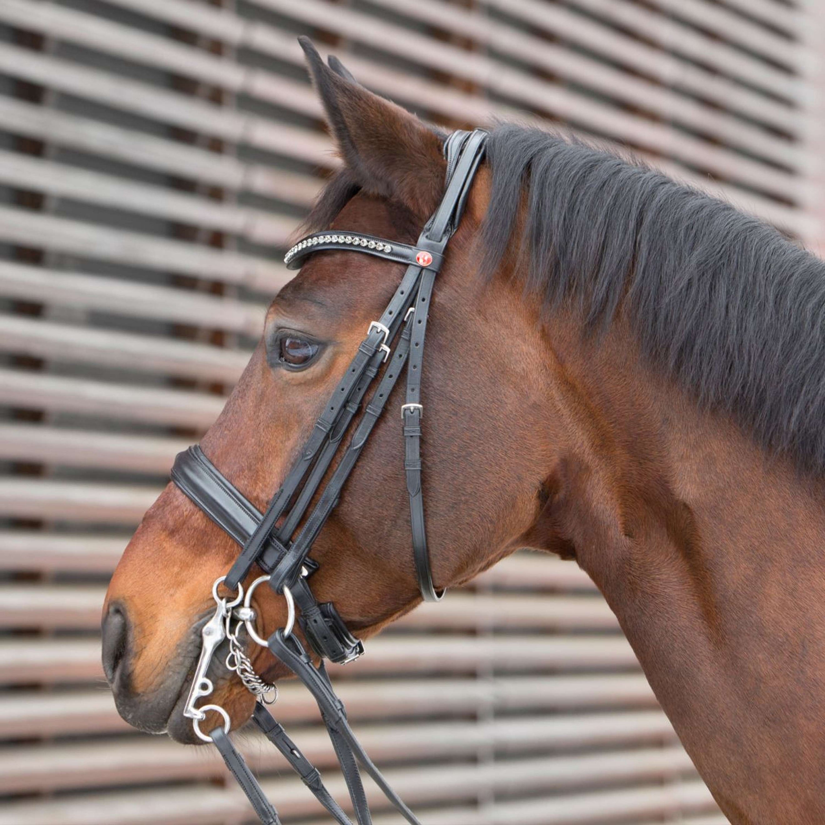 Kieffer Double Bridle Ultrasoft Black/Silver Beads