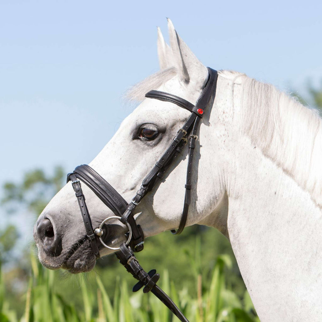 Kieffer Snaffle Bridle Economy Ultrasoft, English, Black Lined, 45mm Black