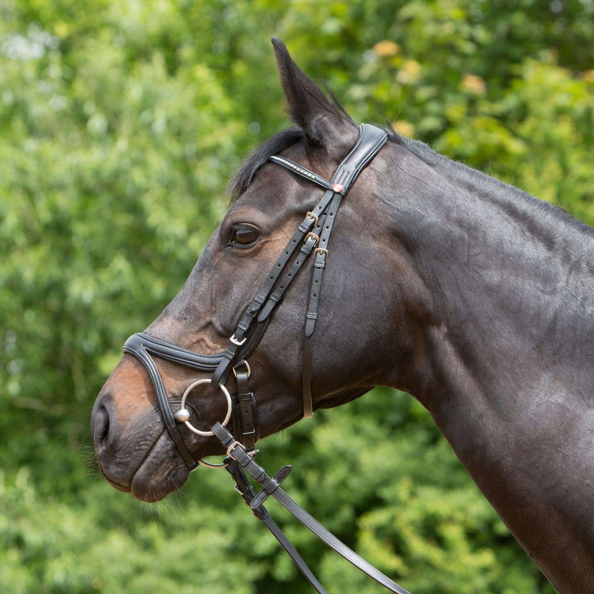 Kieffer Bridle Ultrasoft Tara Black