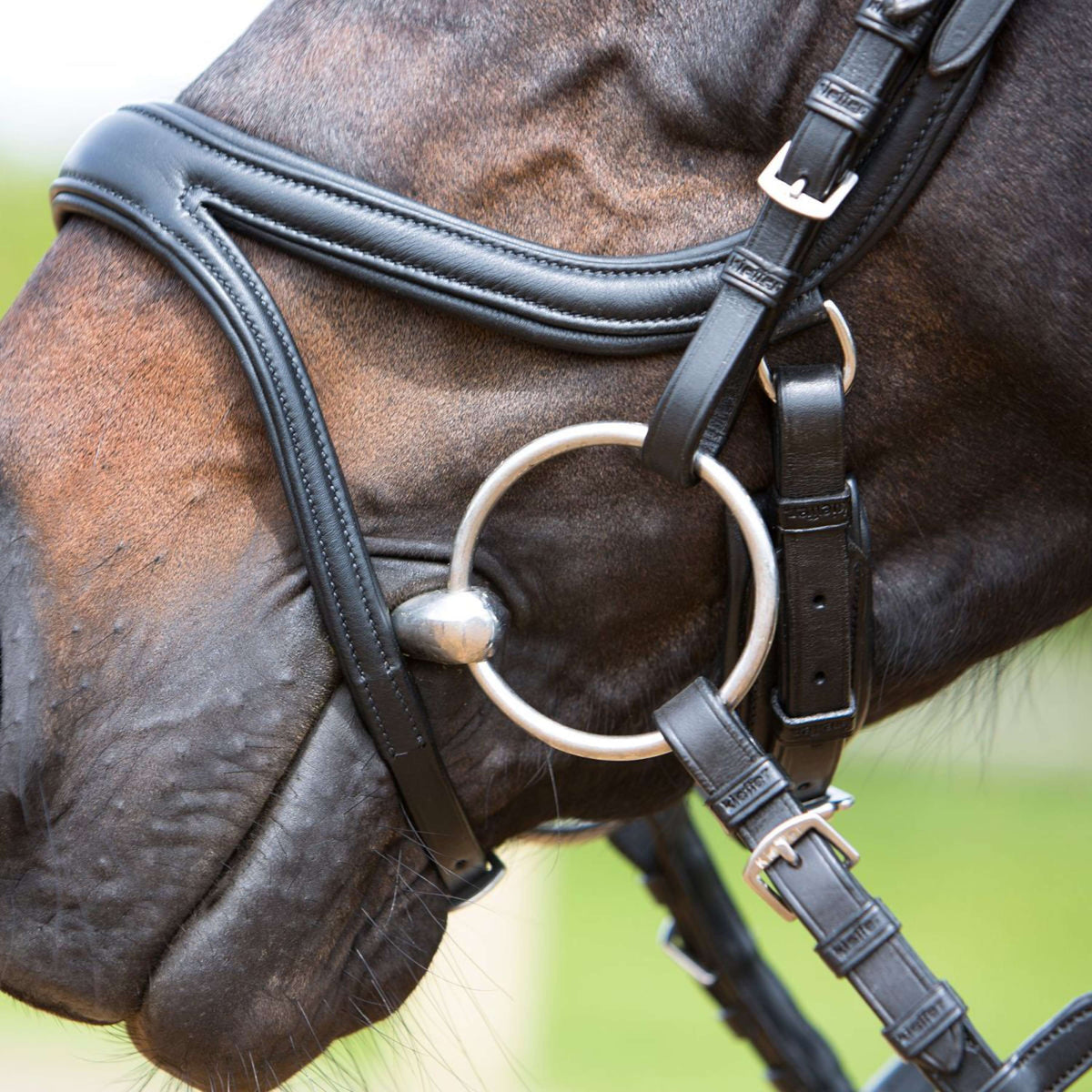 Kieffer Bridle Ultrasoft Tara Black