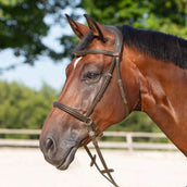 Kieffer Bit-less Bridle Kendra with Buckle, Anatomic Lined Brown