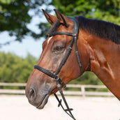 Kieffer Bit-less Bridle Kendra with Buckle, Anatomic Lined Black