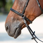 Kieffer Bit-less Bridle Kendra with Buckle, Anatomic Lined Black