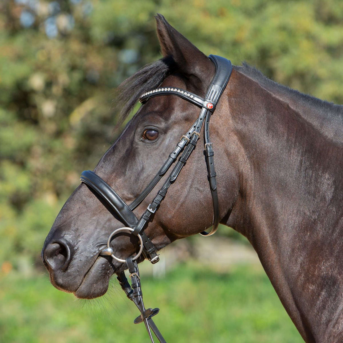 Kieffer Snaffle Bridle Ultrasoft Sue With Crystals Black/Light brown