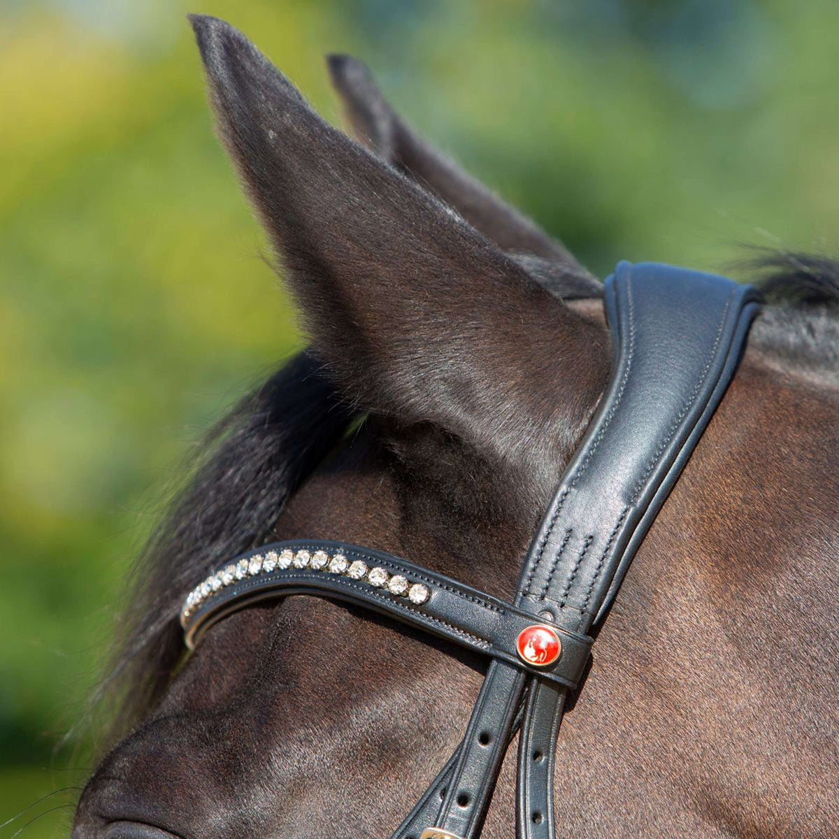 Kieffer Snaffle Bridle Ultrasoft Sue With Crystals Black/Light brown