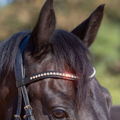 Kieffer Snaffle Bridle Ultrasoft Sue With Crystals Black/Light brown