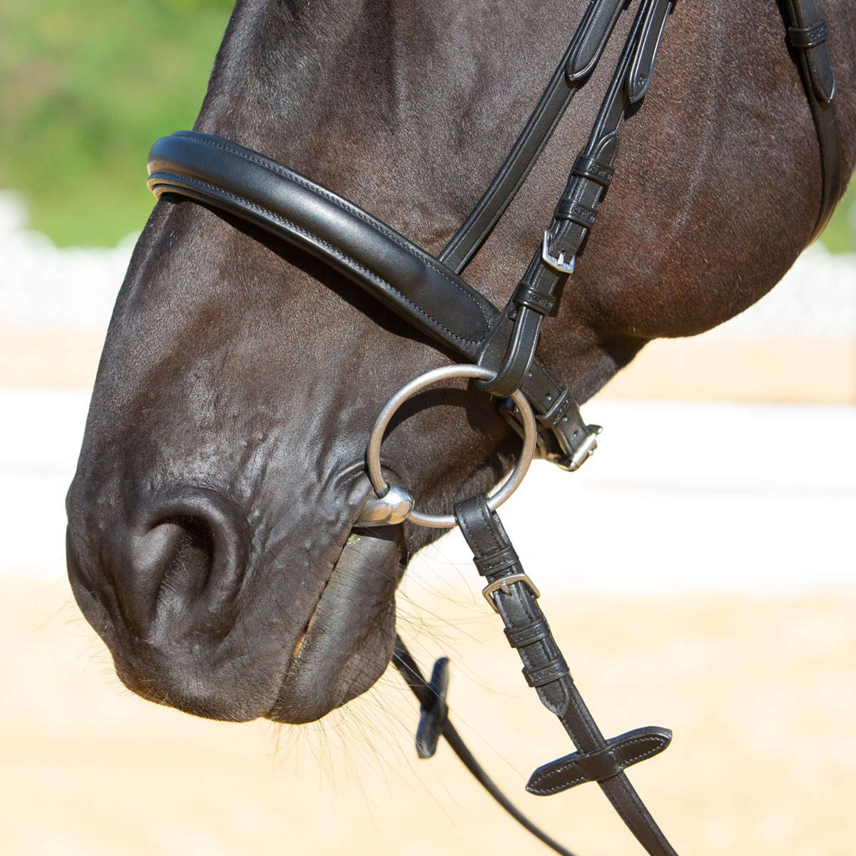 Kieffer Bridle Ultrasoft Sue With Crystals Black/White