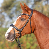 Kieffer Snaffle Bridle Amy Ultrasoft Swedish with Buckle and Flash Strap Black