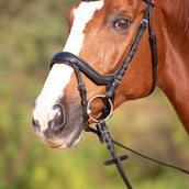 Kieffer Snaffle Bridle Amy Ultrasoft Swedish with Buckle and Flash Strap Black