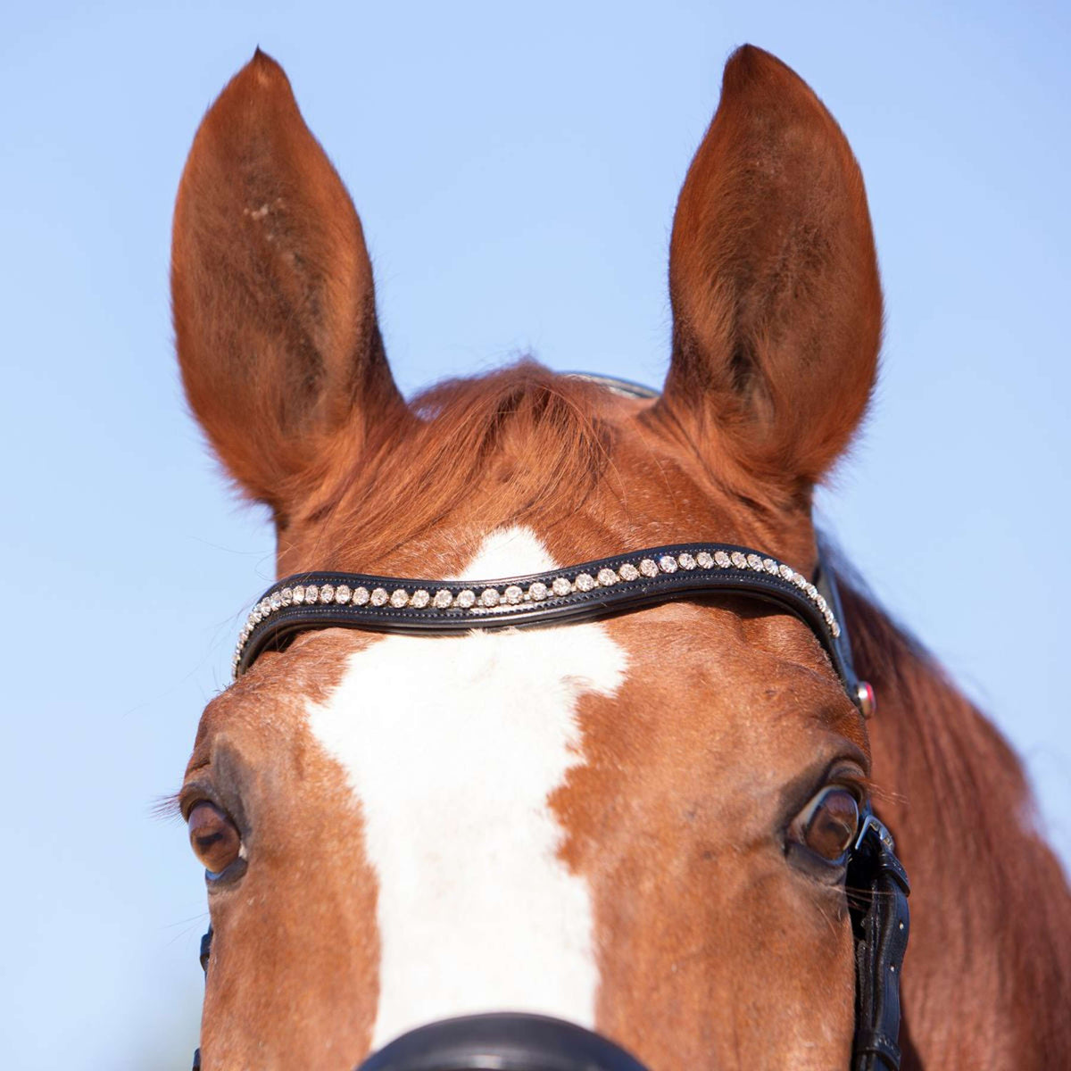 Kieffer Snaffle Bridle Amy Ultrasoft Swedish with Buckle and Flash Strap Black