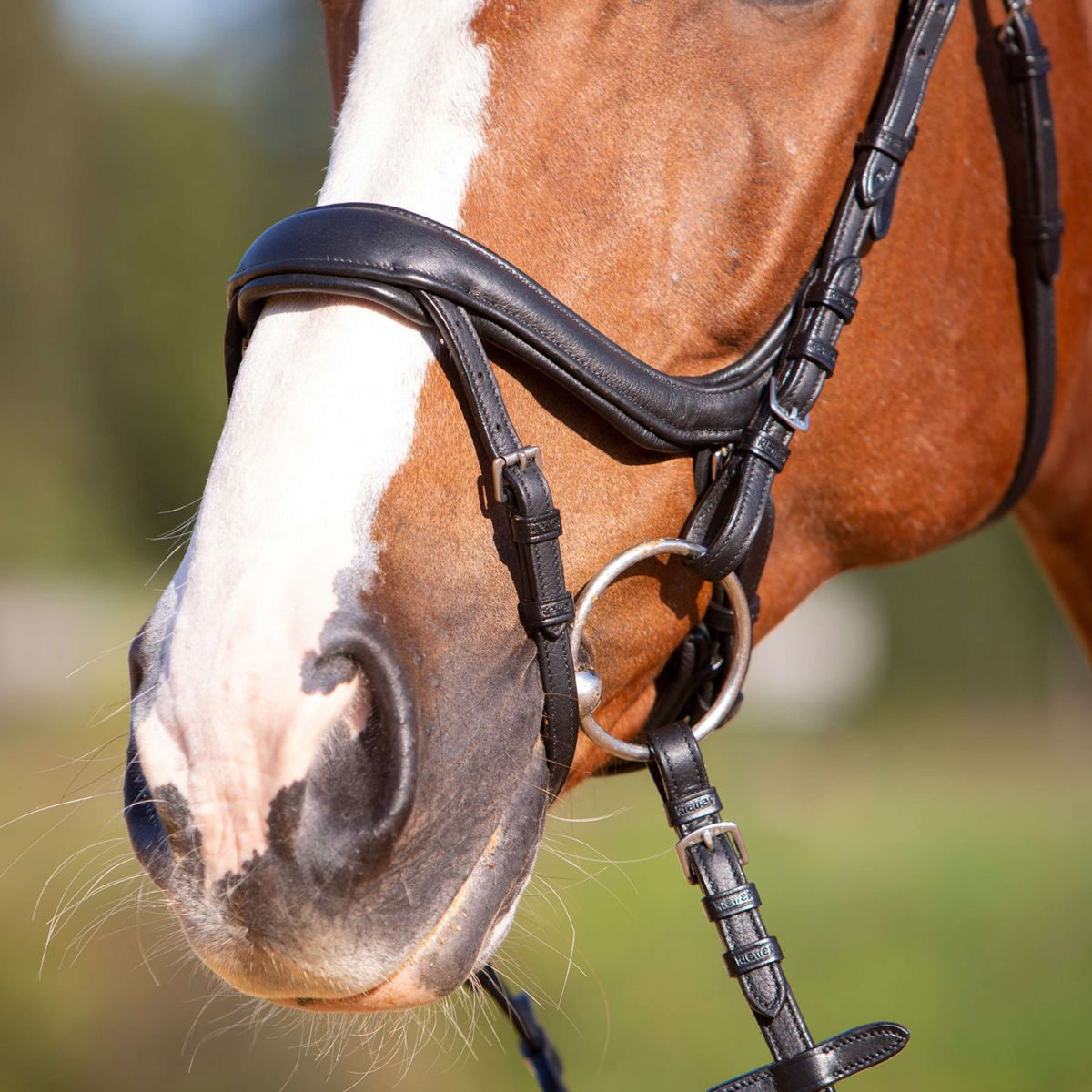 Kieffer Snaffle Bridle Amy Ultrasoft Swedish with Buckle and Flash Strap Black