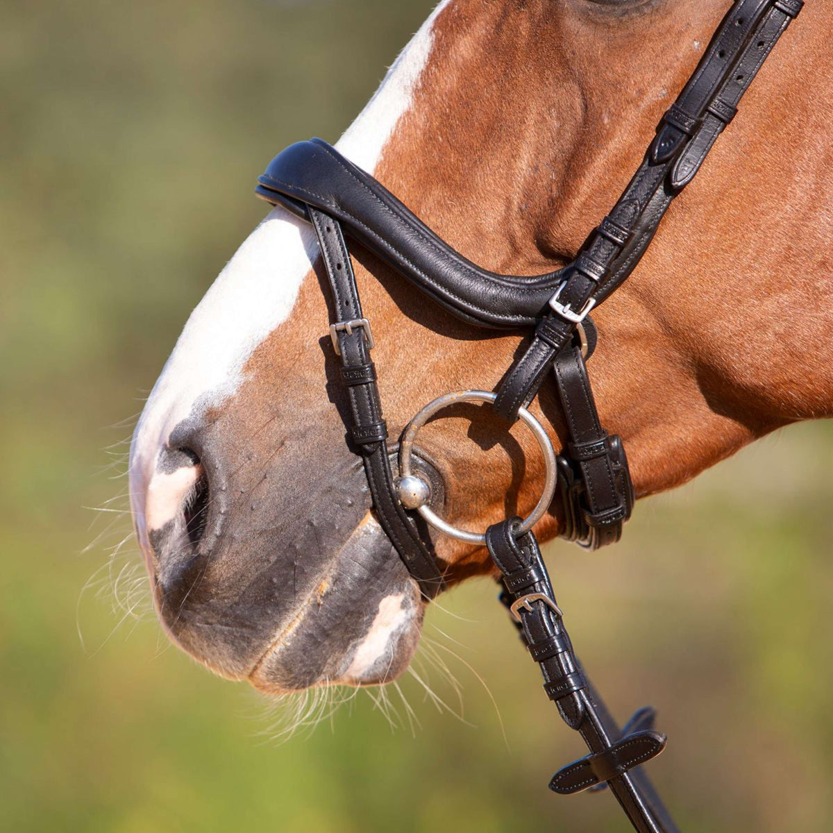 Kieffer Snaffle Bridle Amy Ultrasoft Swedish with Buckle and Flash Strap Black