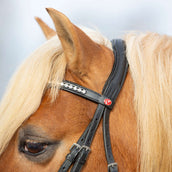 Kieffer Bridle Ultrasoft Haflinger Black/White Stones