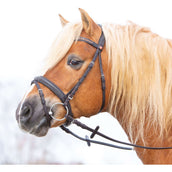 Kieffer Bridle Ultrasoft Haflinger Brown/Brown Stones